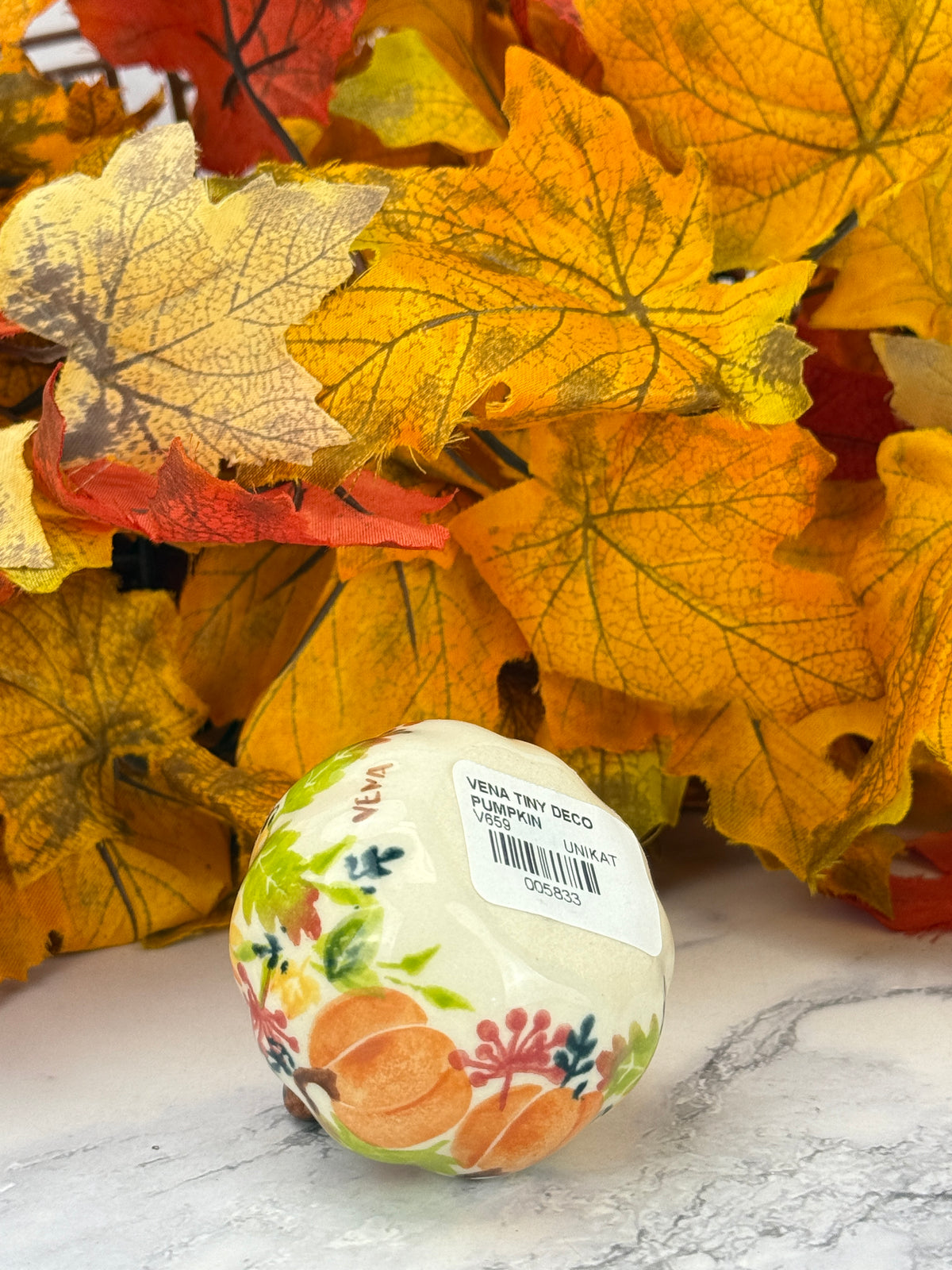 Vena Mini Pumpkin - Fall Harvest