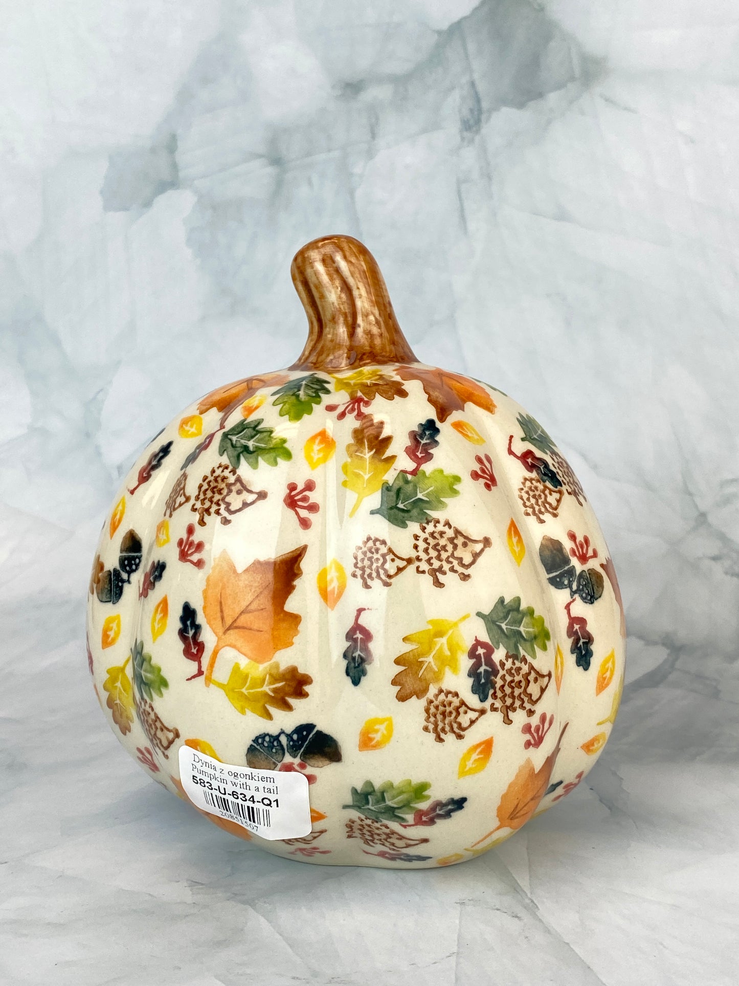 Vena Gourd - Hedgehog