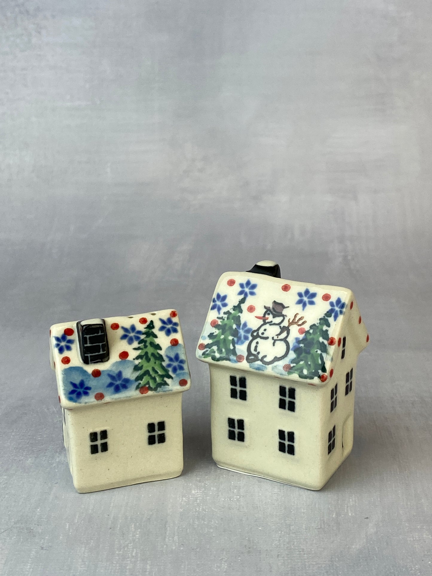 Cottage Shaped Salt & Pepper Shakers - Shapes G24 & G25 - Pattern U4661