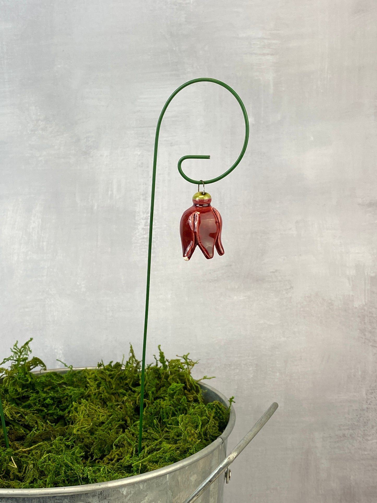 Dangling Tulips