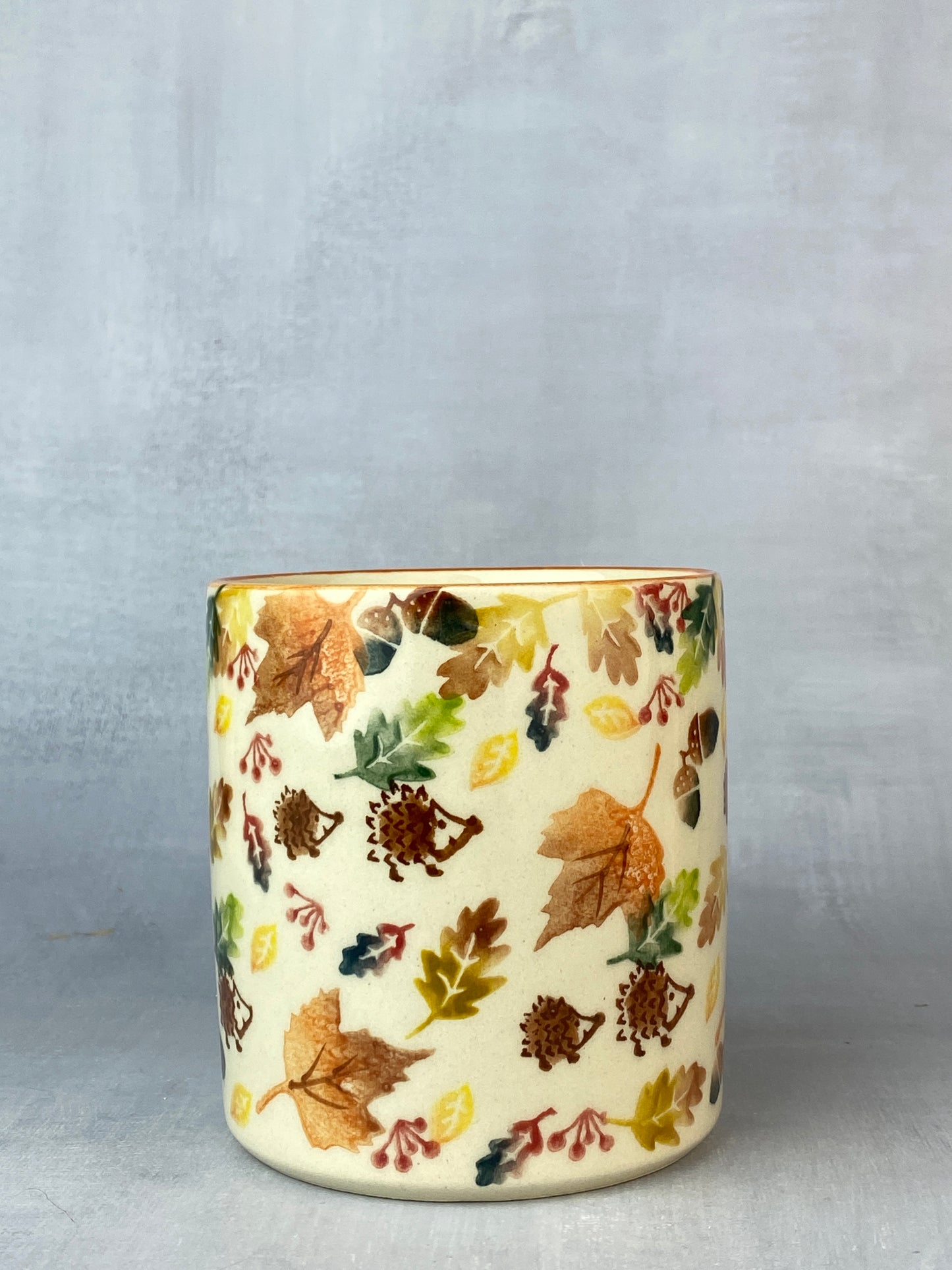 Vena Unikat 12oz Mug - Shape V055 - Hedgehog