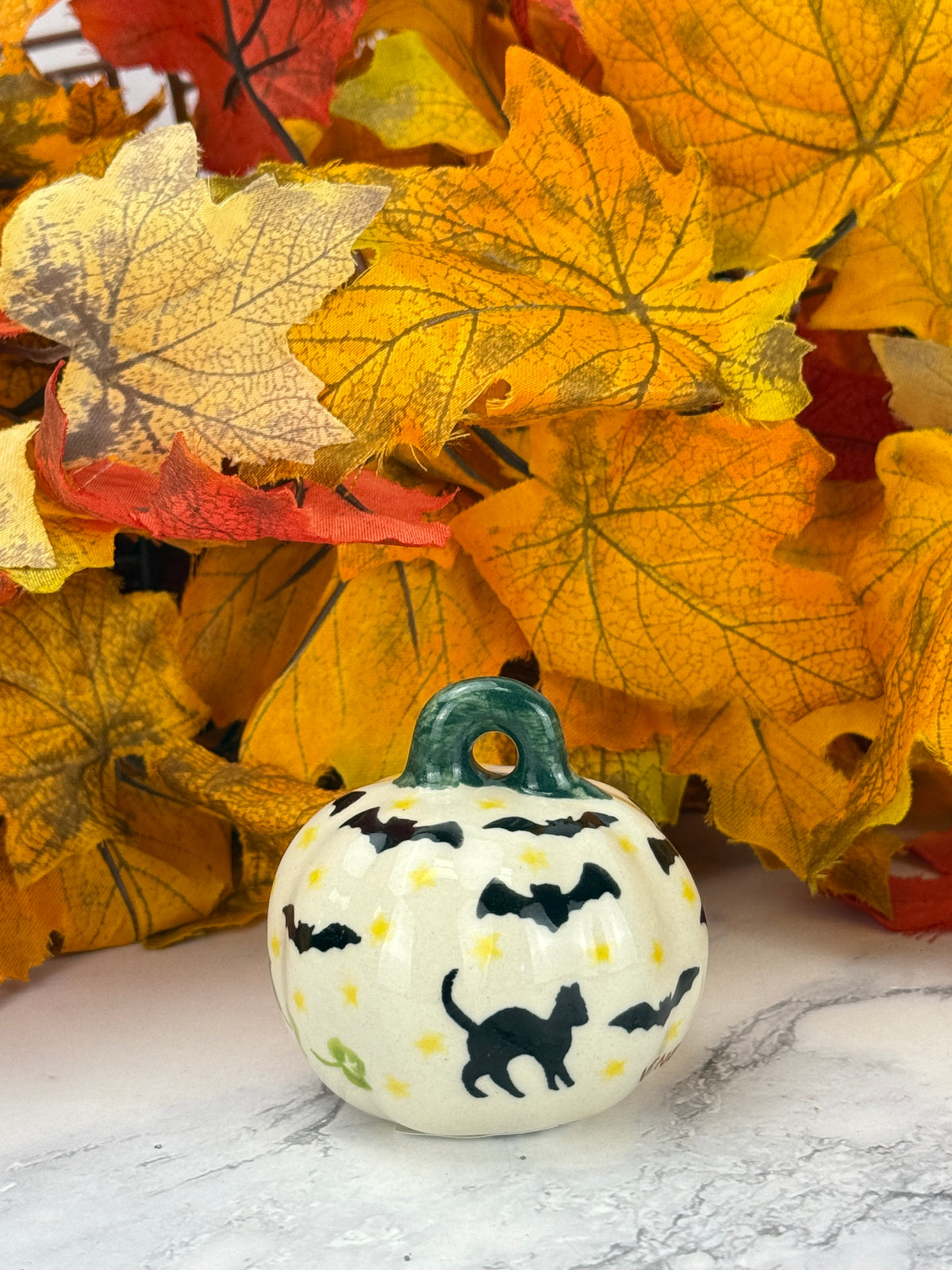 Vena Mini Pumpkin - Black Cat