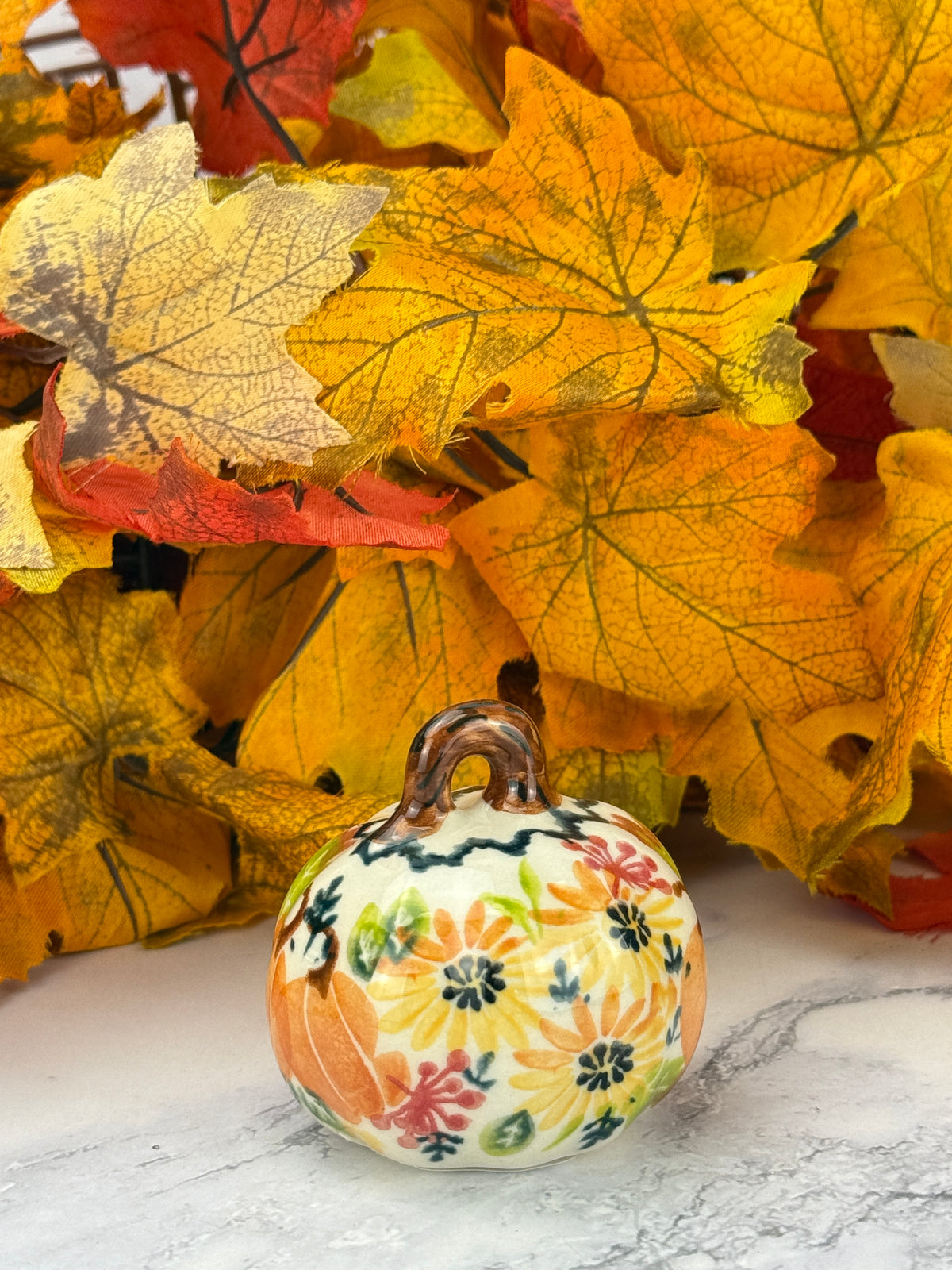 Vena Mini Pumpkin - Fall Harvest