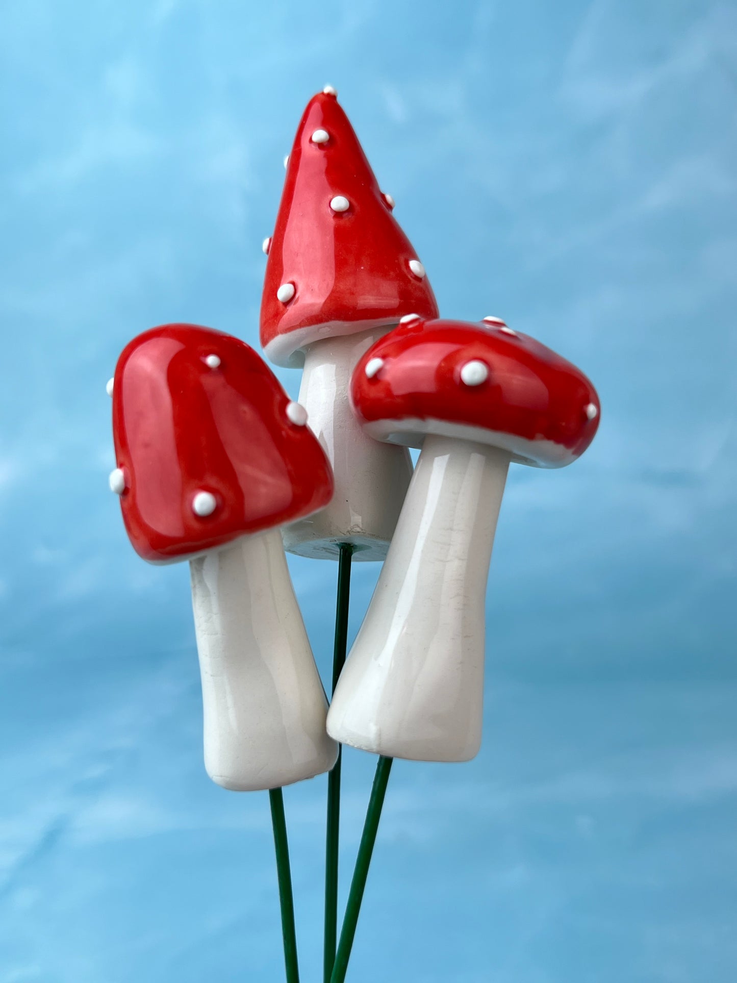 Ceramic Mushroom