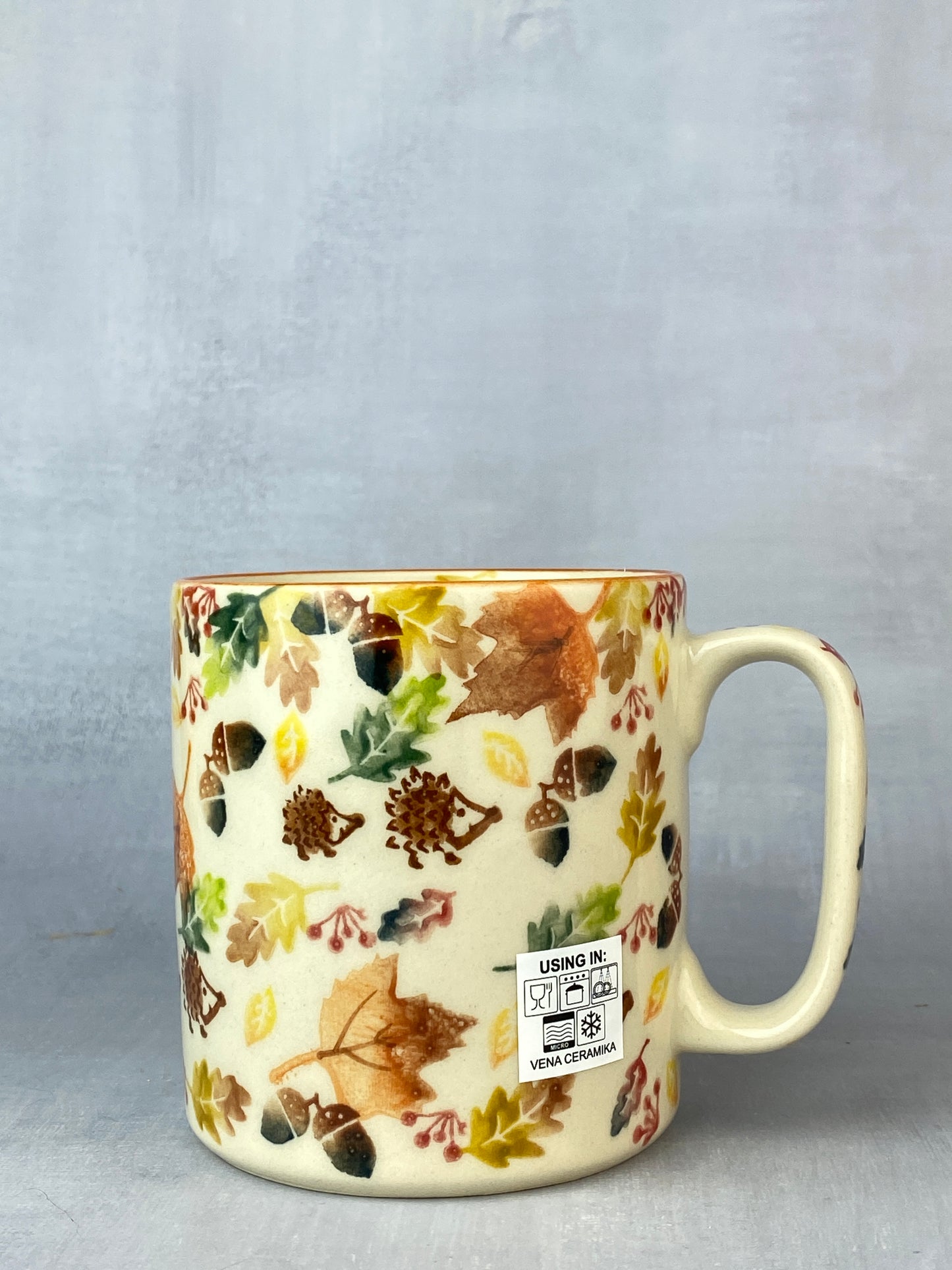 Vena Unikat 12oz Mug - Shape V055 - Hedgehog