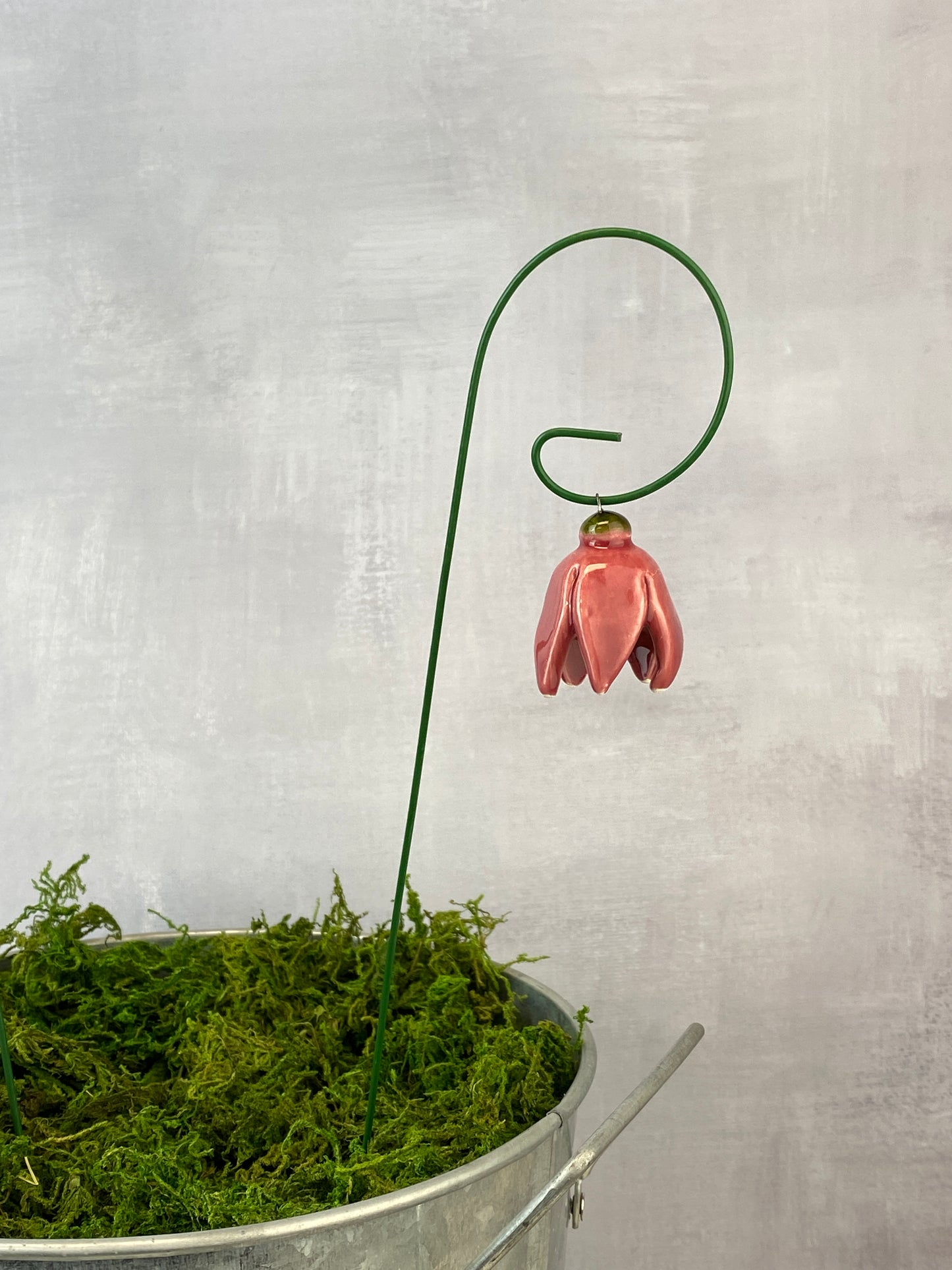 Dangling Tulips