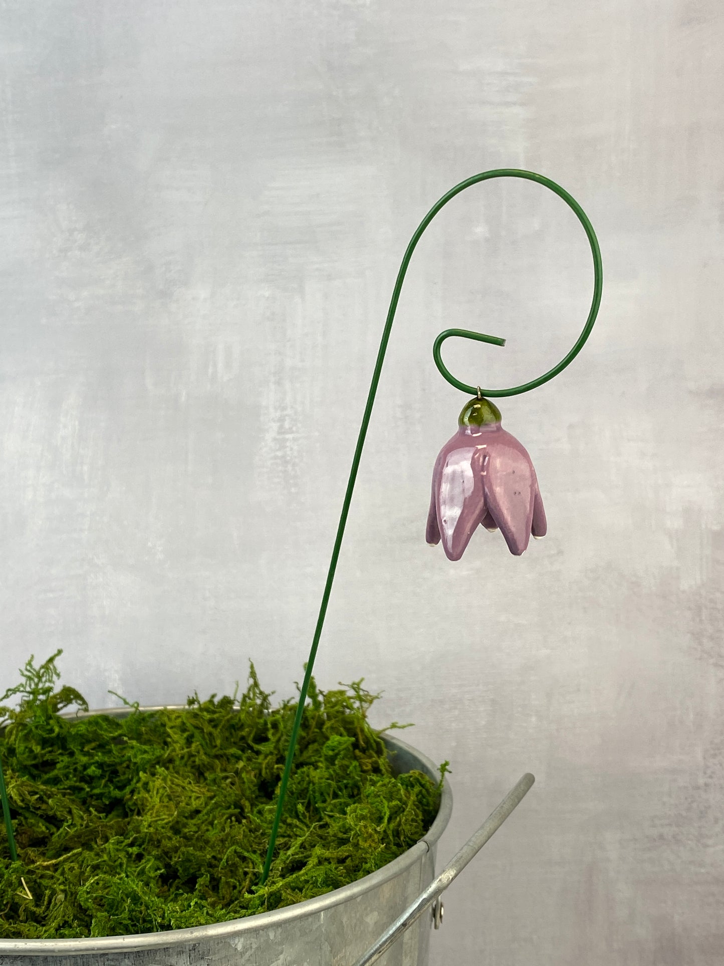 Dangling Tulips