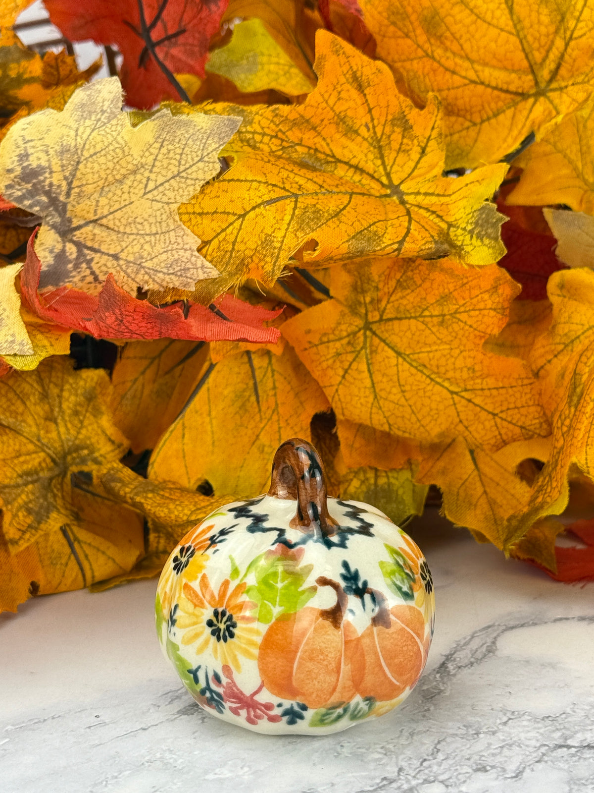 Vena Mini Pumpkin - Fall Harvest