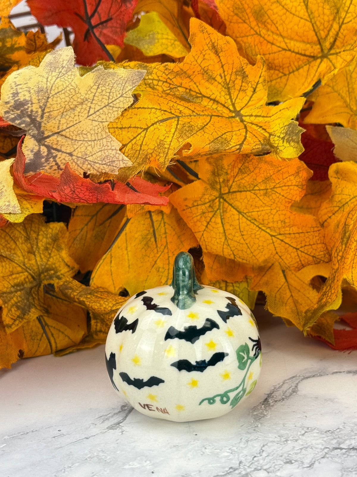 Vena Mini Pumpkin - Black Cat