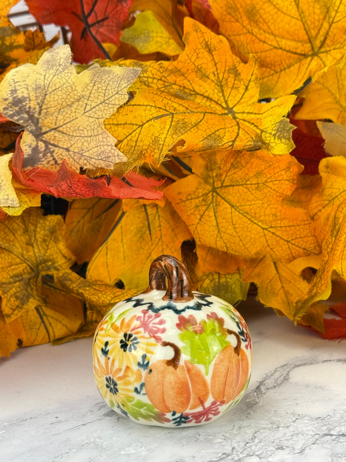 Vena Mini Pumpkin - Fall Harvest