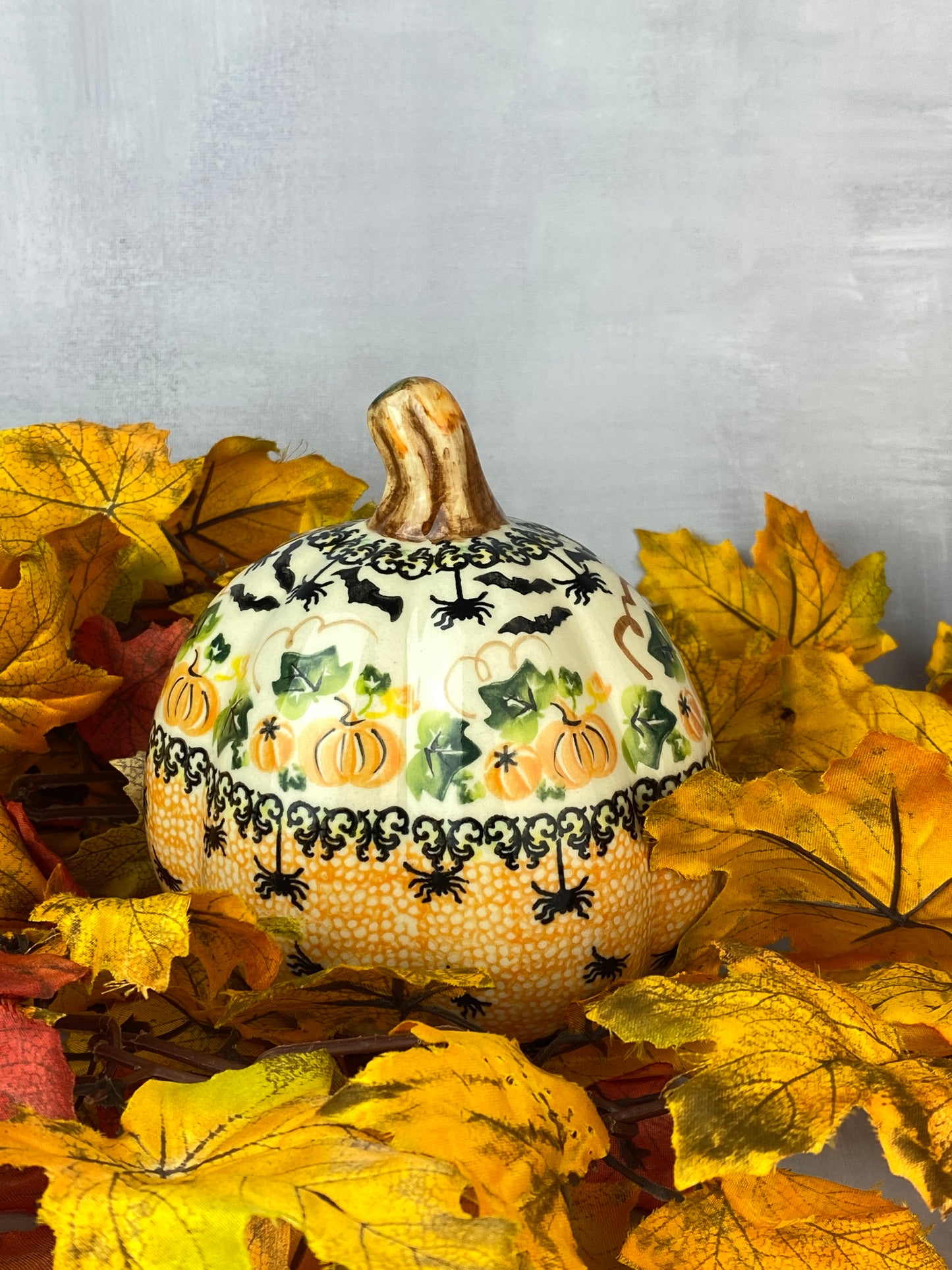 Vena Gourd - Pumpkin Patch