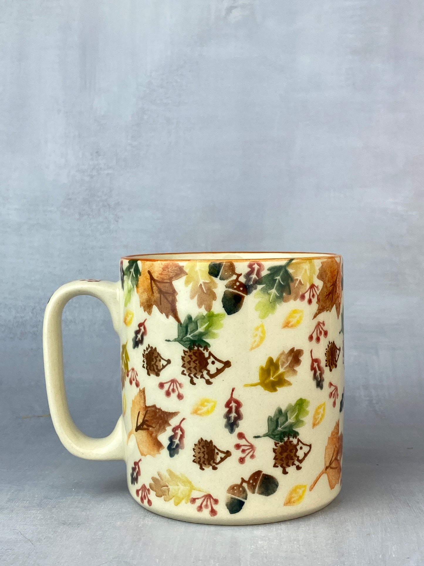 Vena Unikat 12oz Mug - Shape V055 - Hedgehog