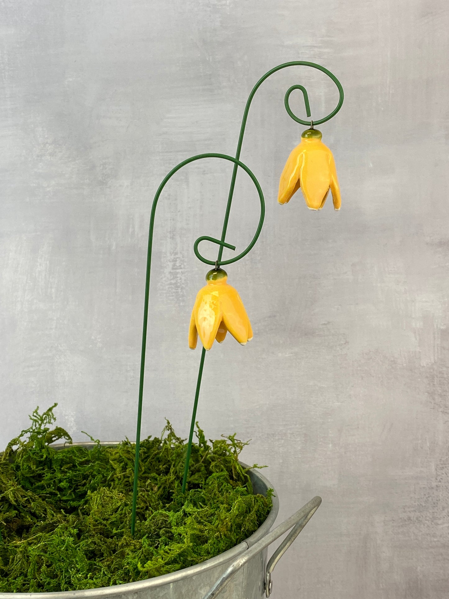 Dangling Tulips