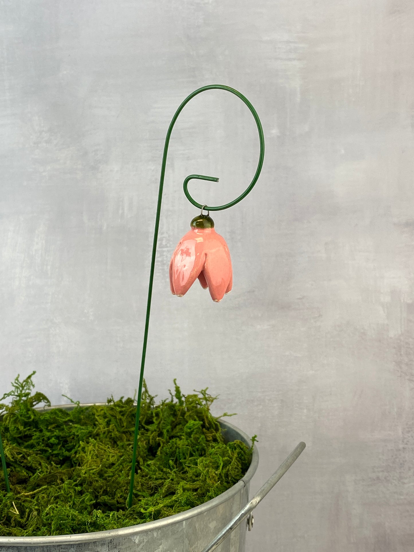 Dangling Tulips