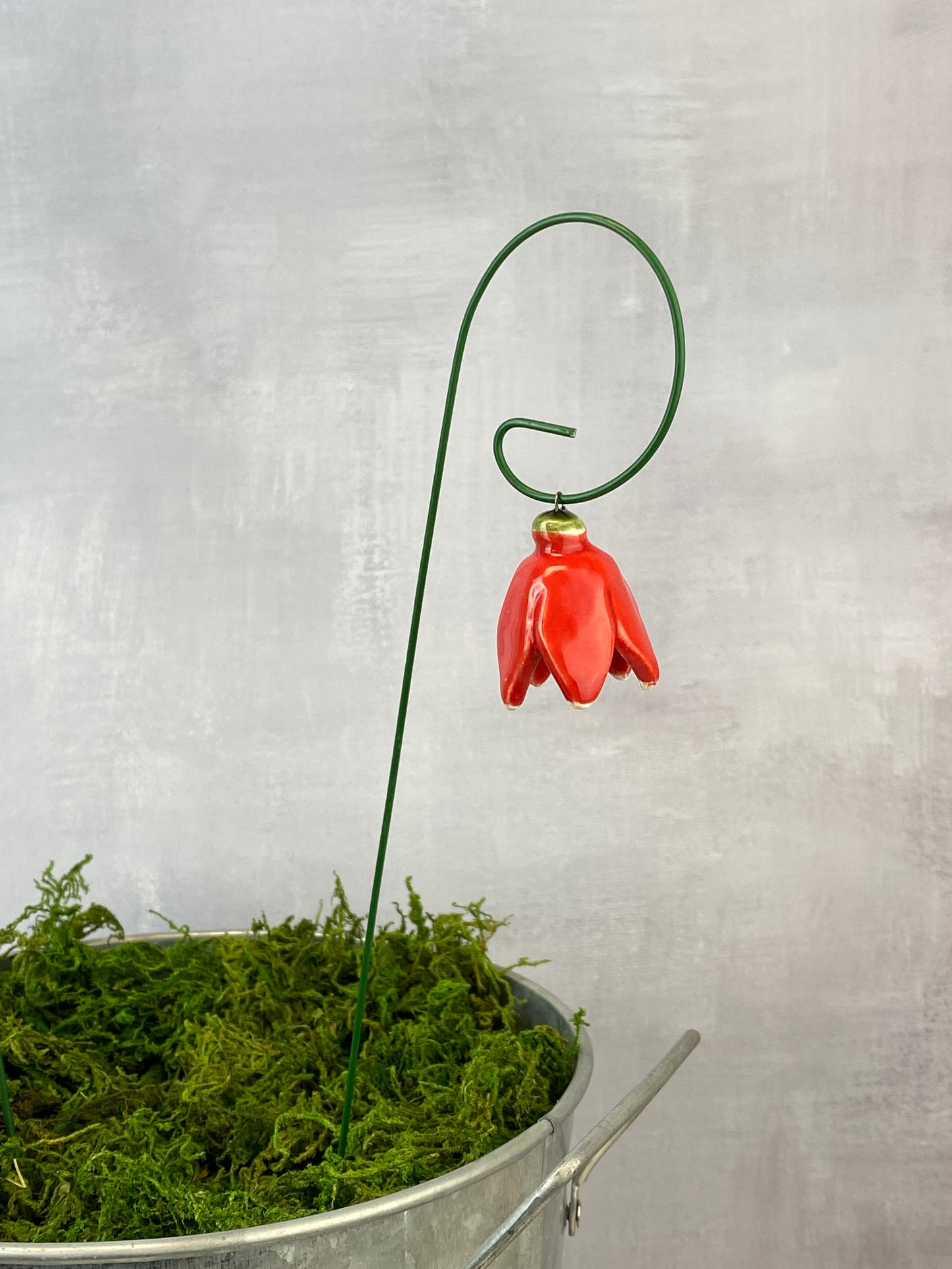 Dangling Tulips