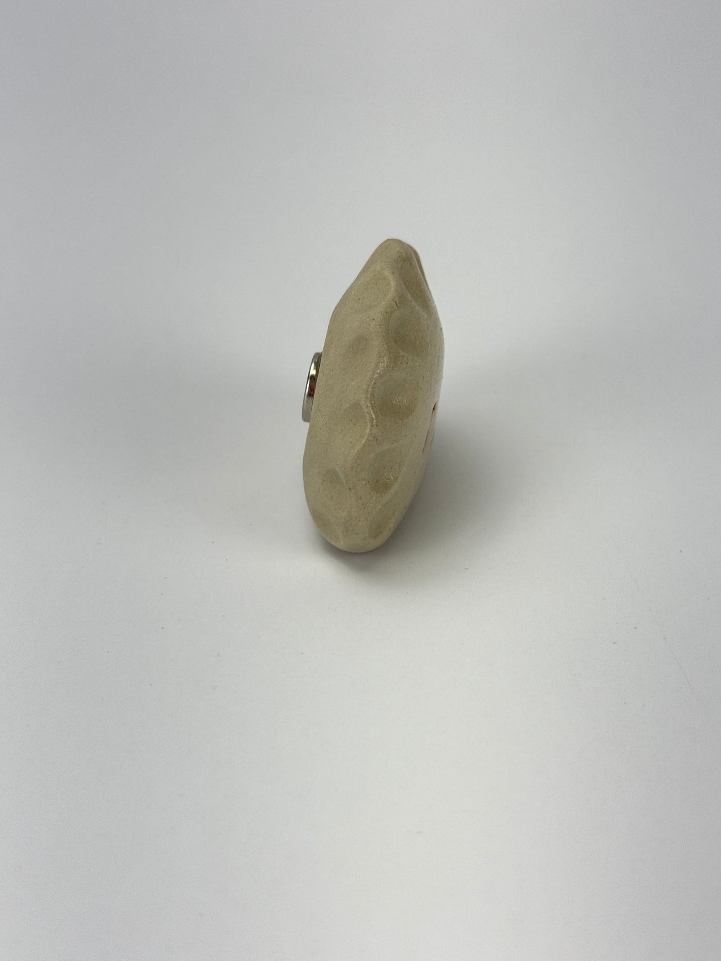 Pierogi Magnet