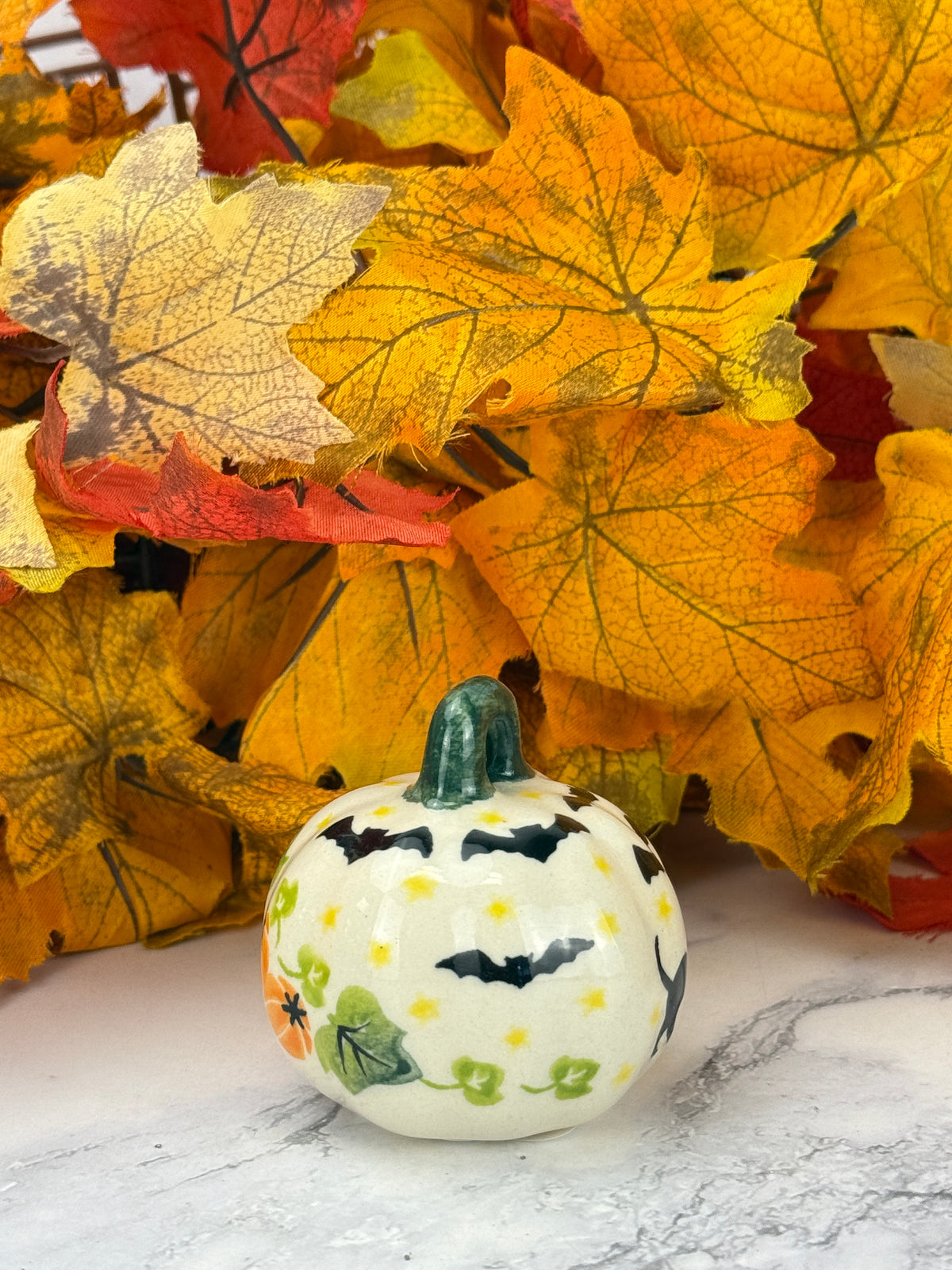 Vena Mini Pumpkin - Black Cat