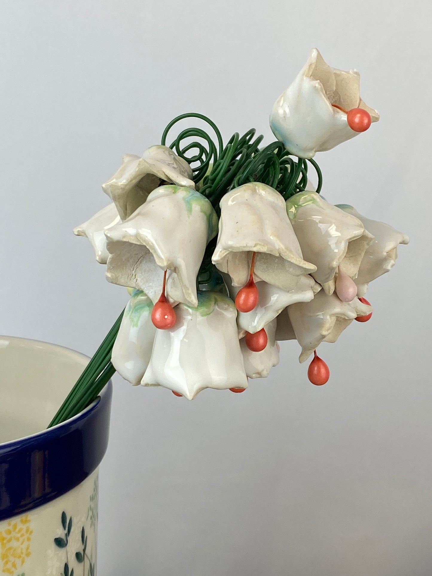 Twinkling / Bell Flower